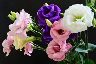 close up eustoma and rose flowers on black background 