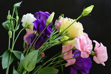 close up eustoma and rose flowers on black background 