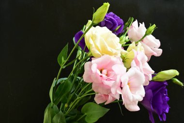 close up eustoma and rose flowers on black background 