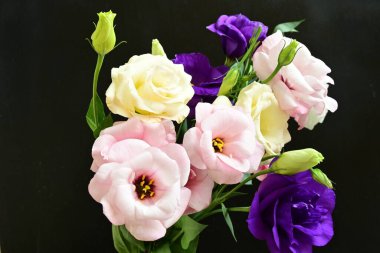 close up eustoma and rose flowers on black background 