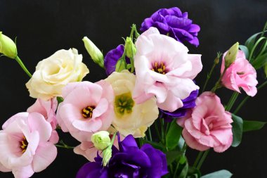 close up eustoma and rose flowers on black background 