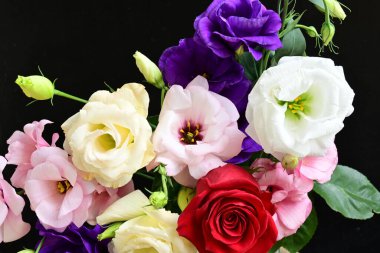 rose and eustoma flowers close up on black background 