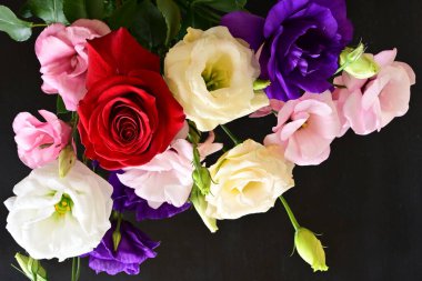 rose and eustoma flowers close up on black background 