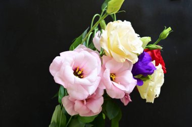 rose and eustoma flowers close up on black background 