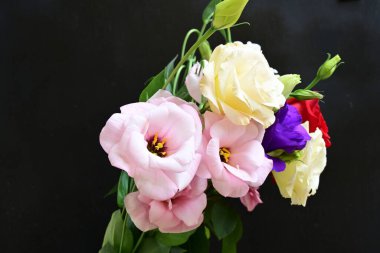 rose and eustoma flowers close up on black background 