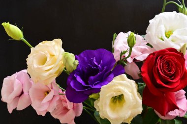rose and eustoma flowers close up on black background 