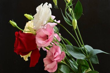 rose and eustoma flowers close up on black background 