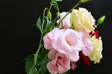 rose and eustoma flowers close up on black background 