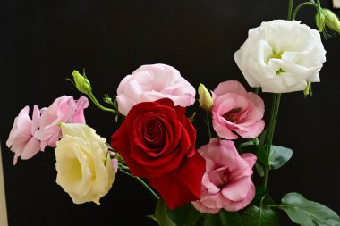 rose and eustoma flowers close up on black background 