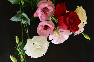 rose and eustoma flowers close up on black background 