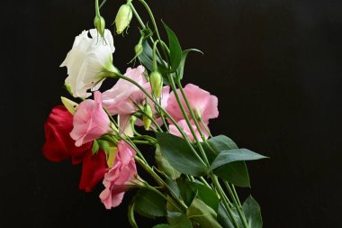 rose and eustoma flowers close up on black background 