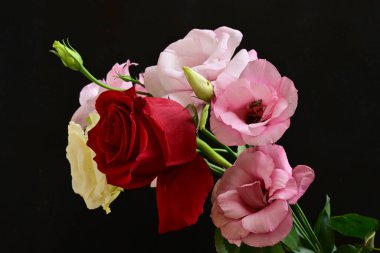 rose and eustoma flowers close up on black background 