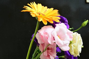 orange gerbera and eustoma flowers on black 