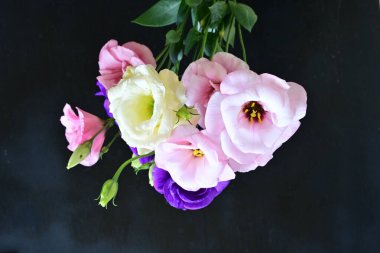 Karanlık arka planda güzel Eustoma çiçekleri, yaz konsepti, yakın görüş 