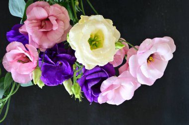 Karanlık arka planda güzel Eustoma çiçekleri, yaz konsepti, yakın görüş 