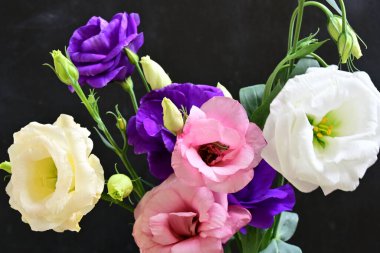 Karanlık arka planda güzel Eustoma çiçekleri, yaz konsepti, yakın görüş 