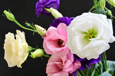 Karanlık arka planda güzel Eustoma çiçekleri, yaz konsepti, yakın görüş 