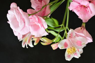 Siyah arka planda narin çiçekleri olan güzel çiçek buketini kapat.         