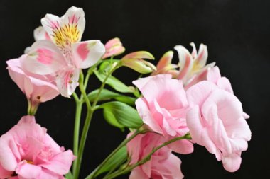 Siyah arka planda narin çiçekleri olan güzel çiçek buketini kapat.         