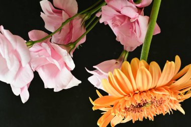 orange gerbera and eustoma flowers on black 