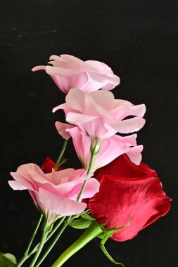 Siyah arka planda narin çiçekleri olan güzel çiçek buketini kapat.         