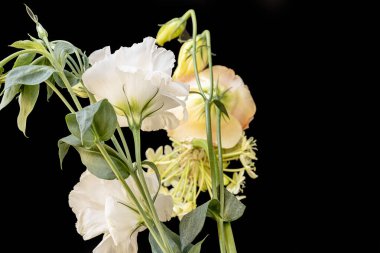 Siyah arka planda narin çiçekleri olan güzel çiçek buketini kapat.         