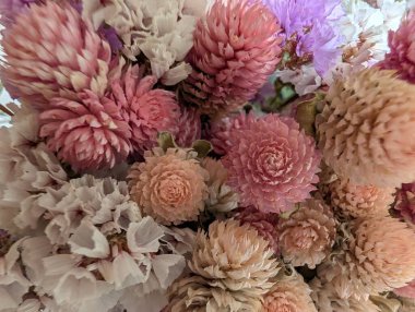Colorful dried flowers arranged in beautiful closeup display