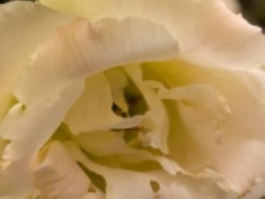 Siyah arka planda güzel bir mutluluk.