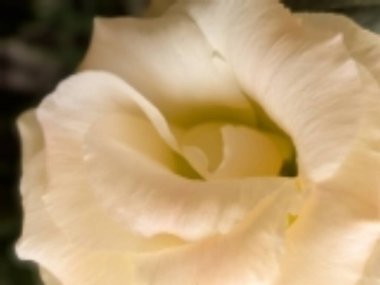 Siyah arka planda güzel bir mutluluk.