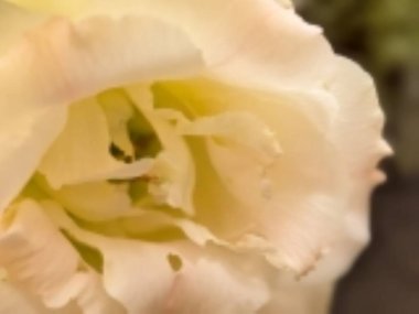 Siyah arka planda güzel bir mutluluk.