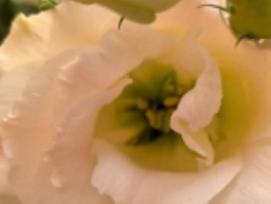 Siyah arka planda güzel bir mutluluk.