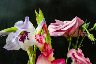 Koyu arkaplanda güzel çiçekler, yaz konsepti, yakın görüş             