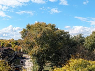 Aerial view of trees and colorful autumn foliage landscape
