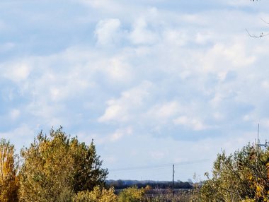 Cloudy sky above trees with autumn leaves and distant landscape