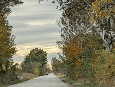 Sonbahar yapraklı ağaçlarla dolu güzel bir park manzarası 