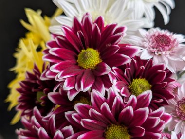 Değişik renklerde canlı çiçekler çok güzel bir şekilde bir araya getirilmiş.