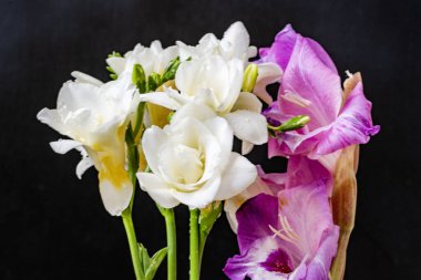 Siyah arkaplana karşı beyaz ve mor çiçeklerin düzenlenmesi