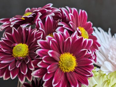 İçerideki dekoratif düzende canlı çiçekler açıyor.