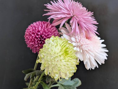 Koyu arkaplanda düzenlenmiş renkli çiçekler.