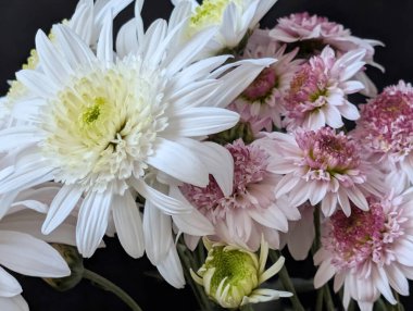 Siyah arkaplanda beyaz ve pembe çiçeklerin düzenlenmesi