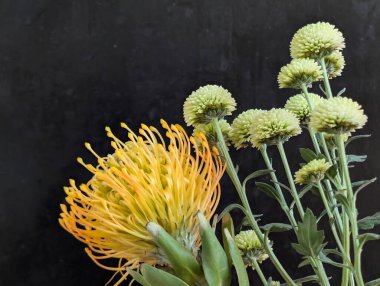 Koyu arkaplanda sıralanmış sarı ve yeşil çiçekler