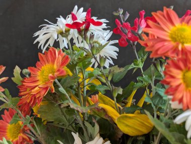 Renkli çiçekler canlı çiçeklerle çiçek açıyor.