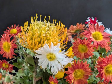 Renkli çiçekler canlı çiçeklerle çiçek açıyor.