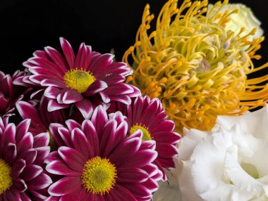 Mor papatyalar ve sarı çırak çiçekleri de dahil.