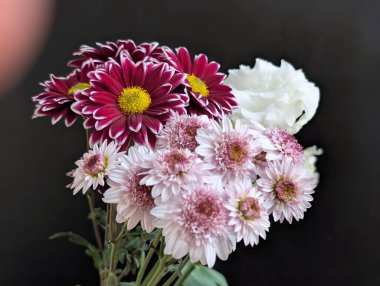 Siyah arkaplana karşı pembe ve kırmızı çiçeklerin düzenlenmesi