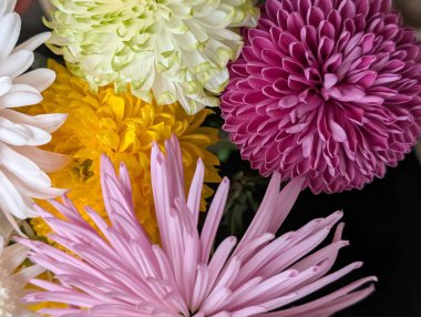 Pembe sarı, beyaz ve mor çiçekleri de içeren renkli çiçekler.