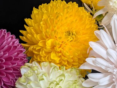 Sarı, beyaz ve yeşil yapraklı renkli çiçekler.