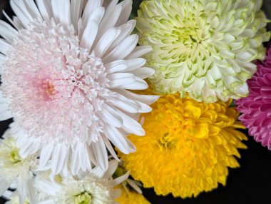 Koyu arkaplanda düzenlenmiş renkli çiçekler.