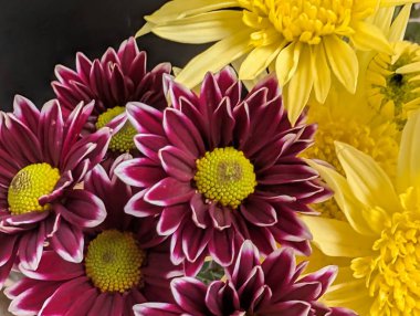 Bulanık bahçedeki çiçeklerin güzel çiçeklerinin yakın plan çekimi.