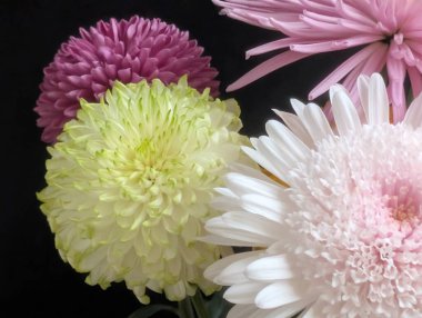 Bulanık bahçedeki çiçeklerin güzel çiçeklerinin yakın plan çekimi.